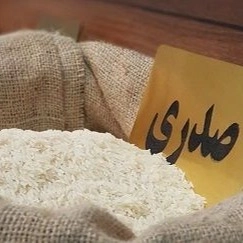 برنج صدری