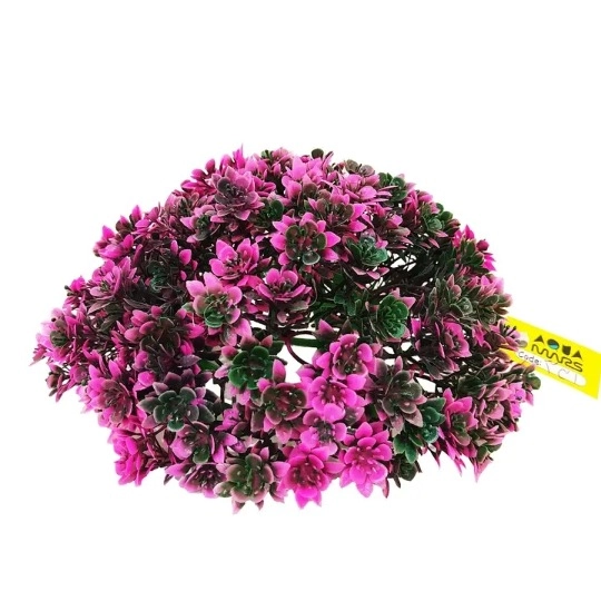 گیاه تزیینی آکواریوم آکوا مارس کد B05