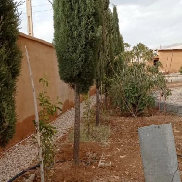 کاهگل