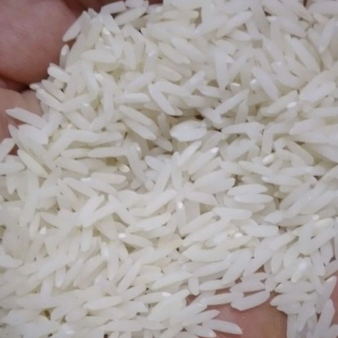 طارم هاشمی