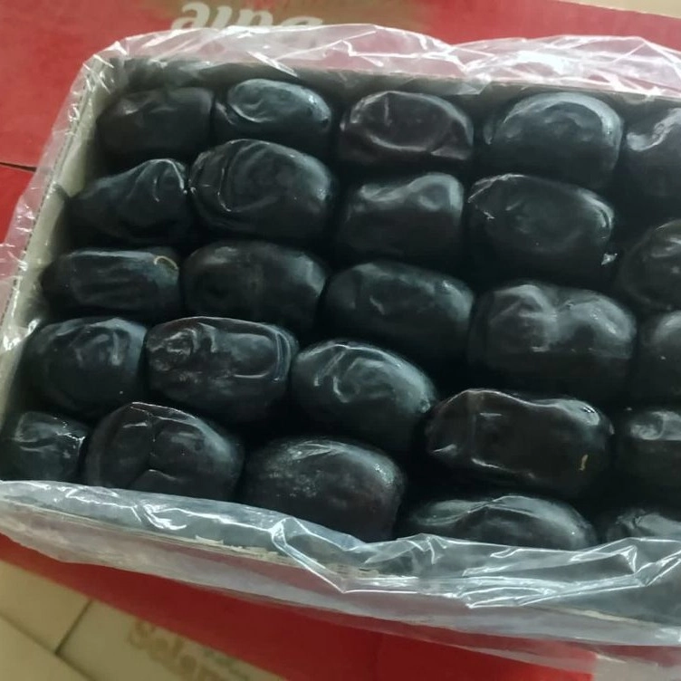 خرما کارتنی صادراتی خرما کارتنی صادراتی