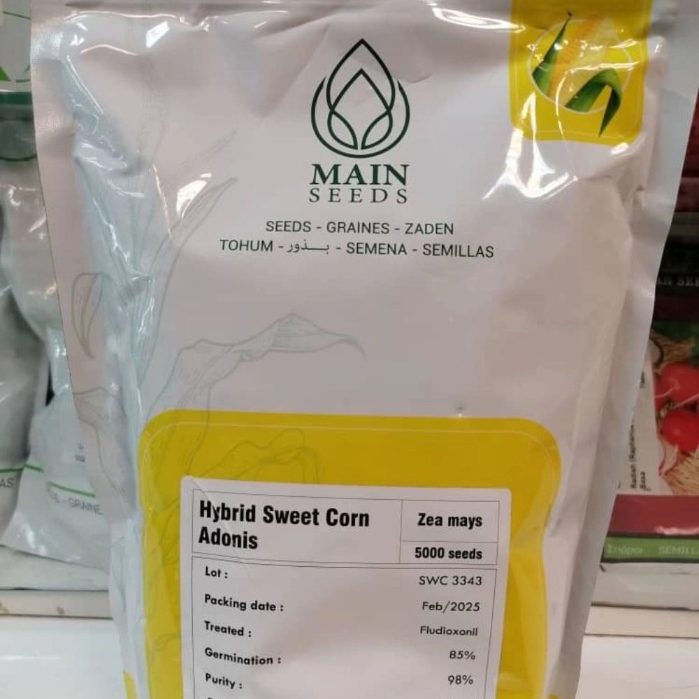 بذر ذرت شیرین ادونیس Main Seeds آلمان