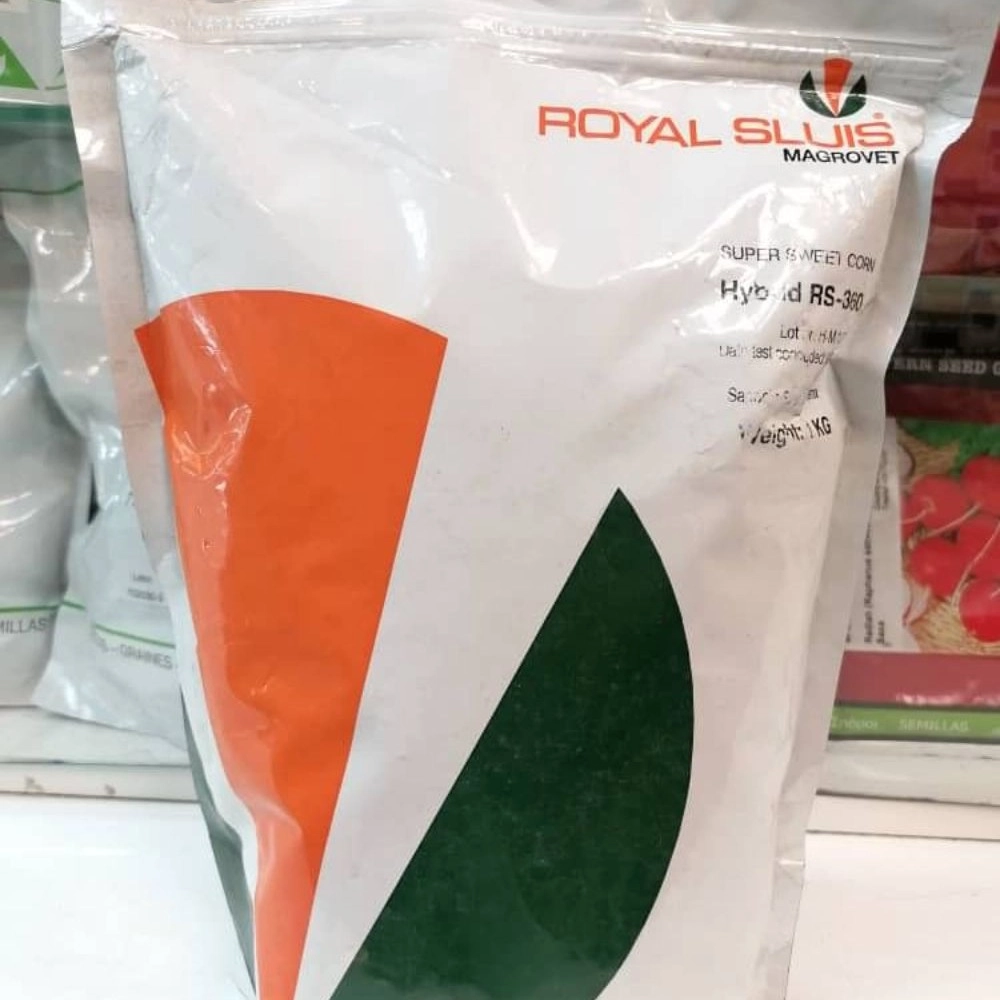 بذر ذرت سوپر شیرین رویال اسلویس RS-360