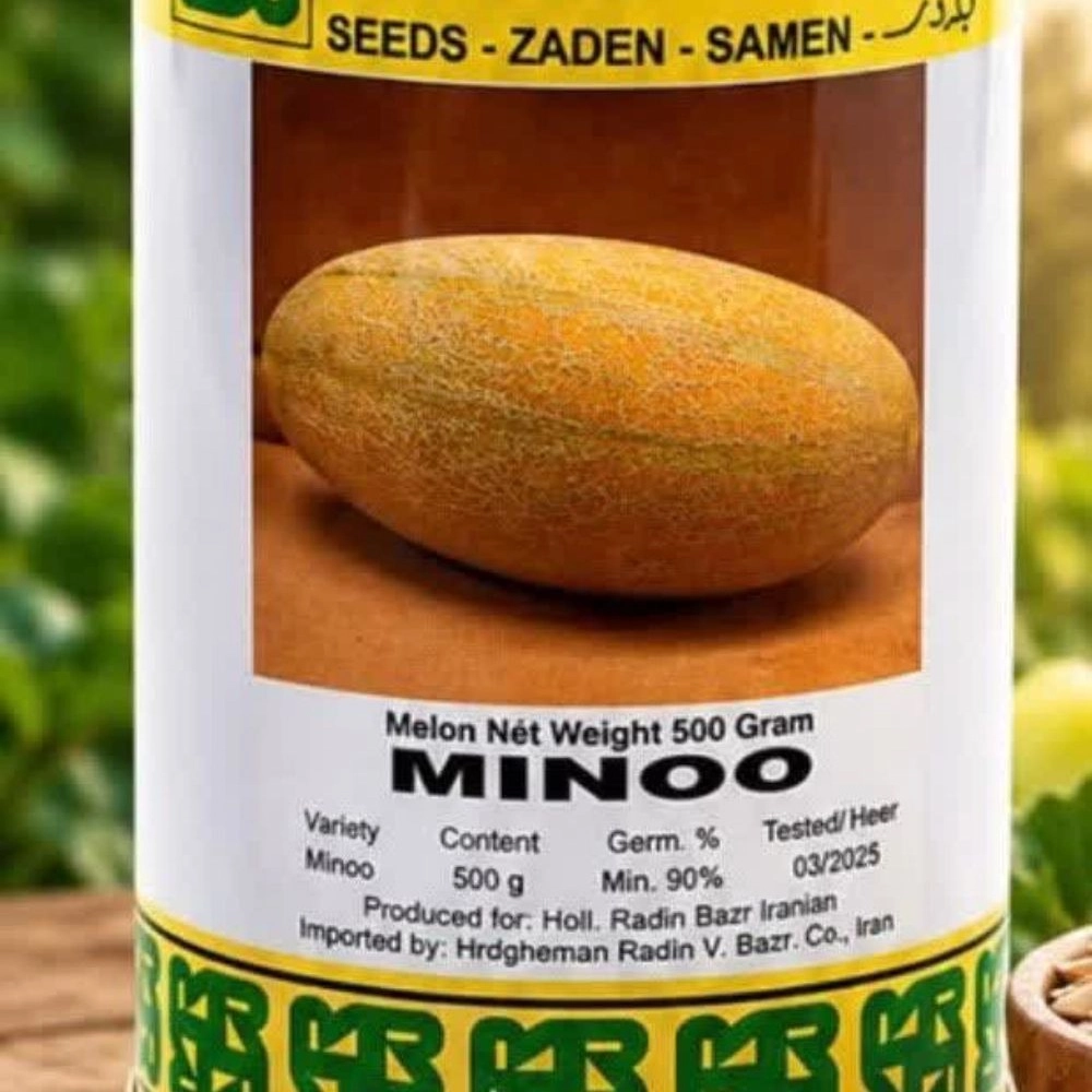 بذر خربزه