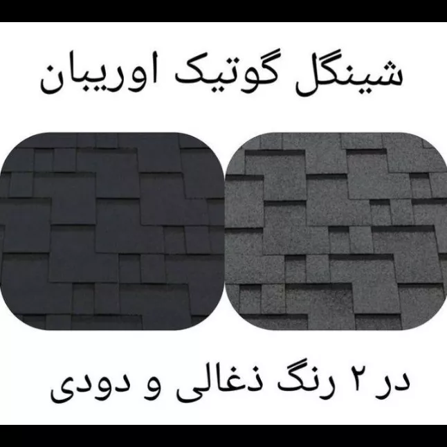 1688283929663.webp