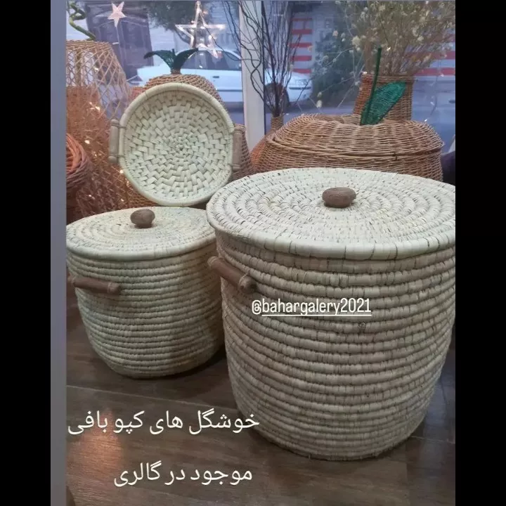 1691044291941.webp