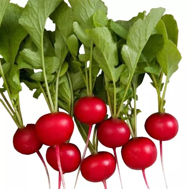میوه