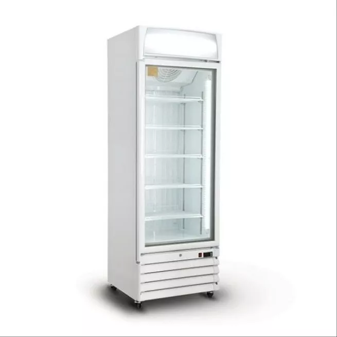 یخچال ویترینی