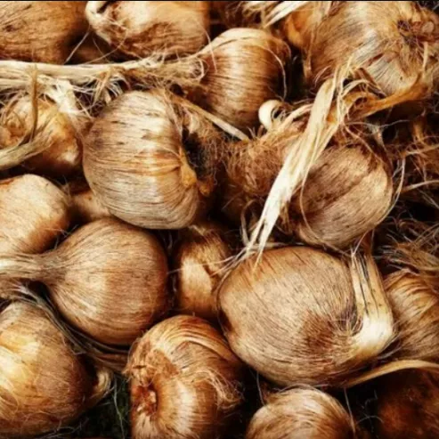 پیاز زعفران