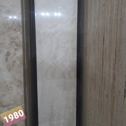 1697529791879.webp