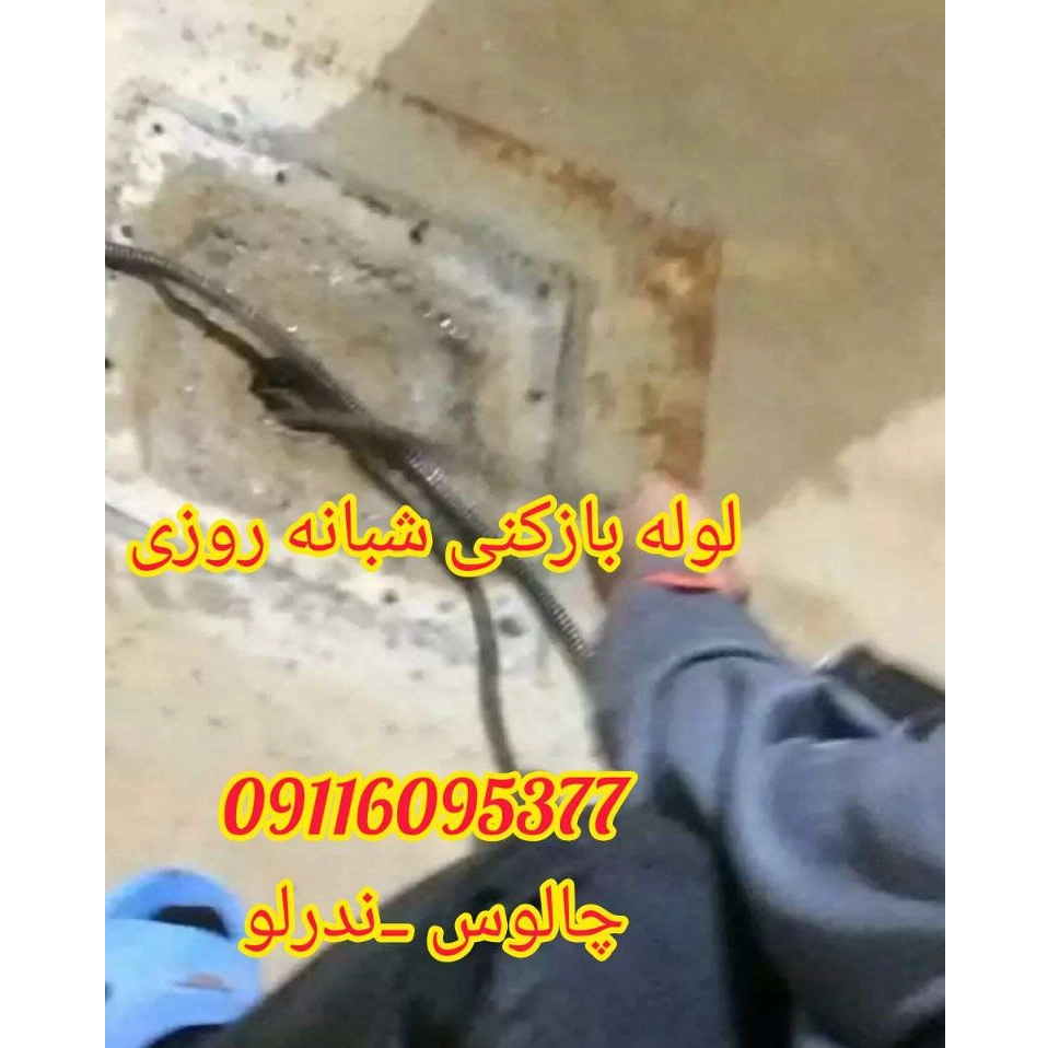 1698235257210.webp