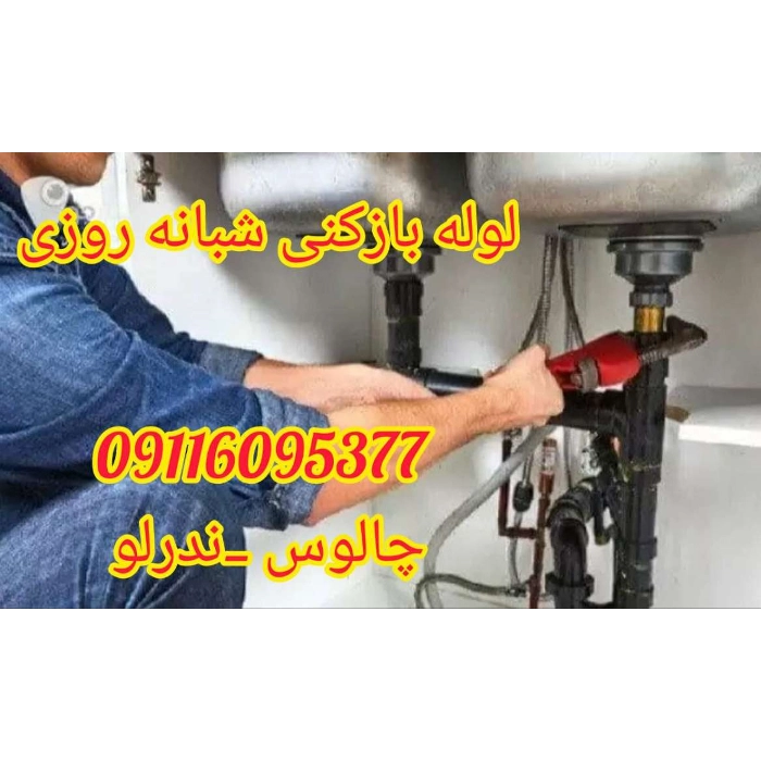 1698235287062.webp