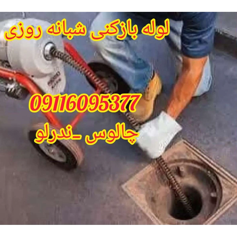 1698235339226.webp