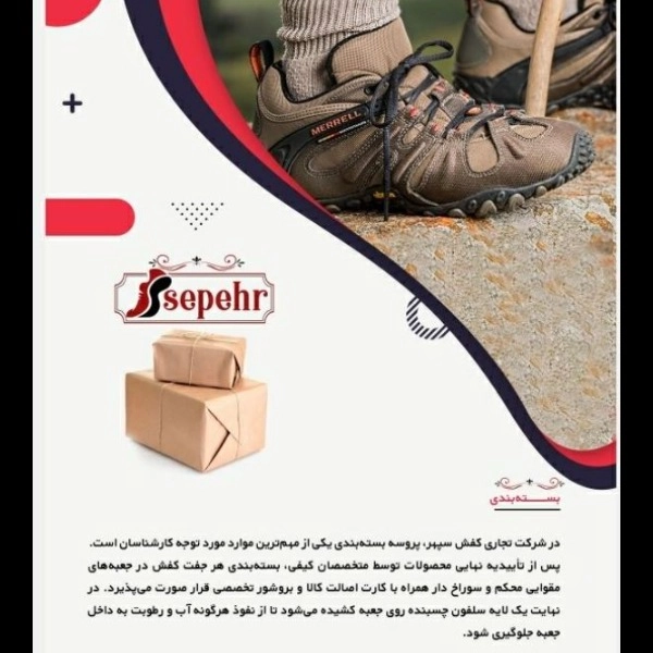 مجموعه کفش سپهر