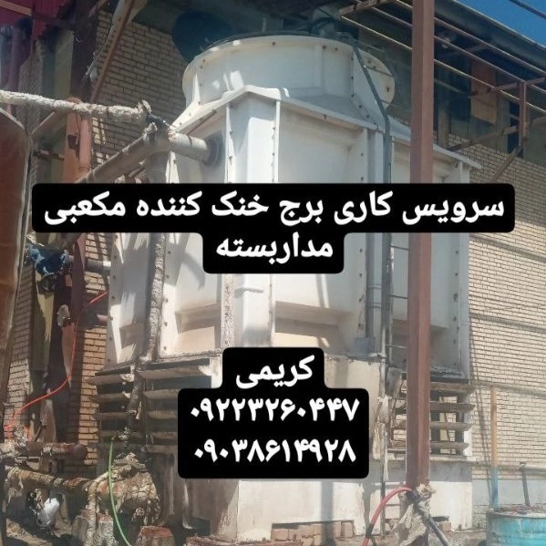 1699689160319.webp