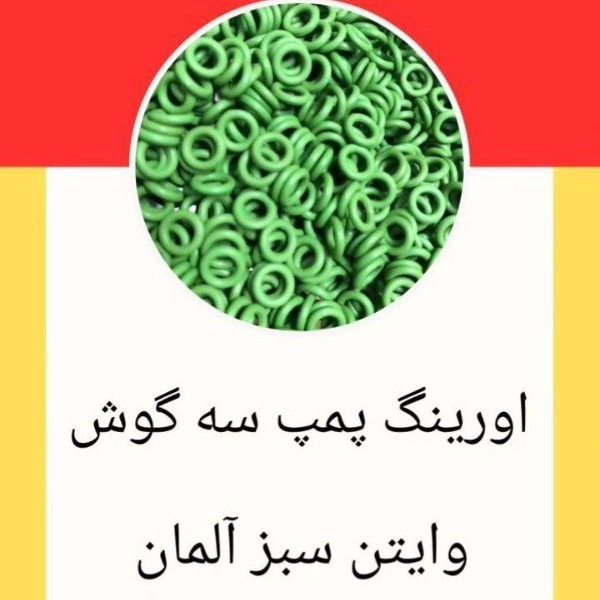 1699772072279.webp