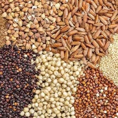 خوراک دام و طیور کاسپین دانه