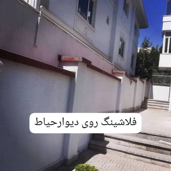 1706952679181.webp