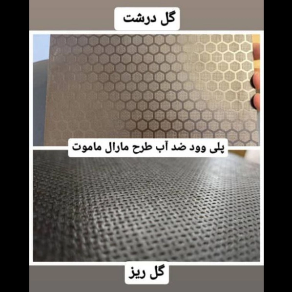 1707549907927.webp