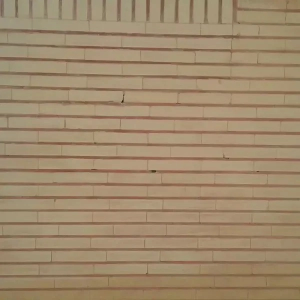 1713941612547.webp