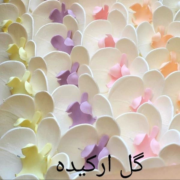1717574718292.webp