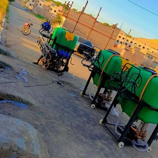 1720599678308.webp