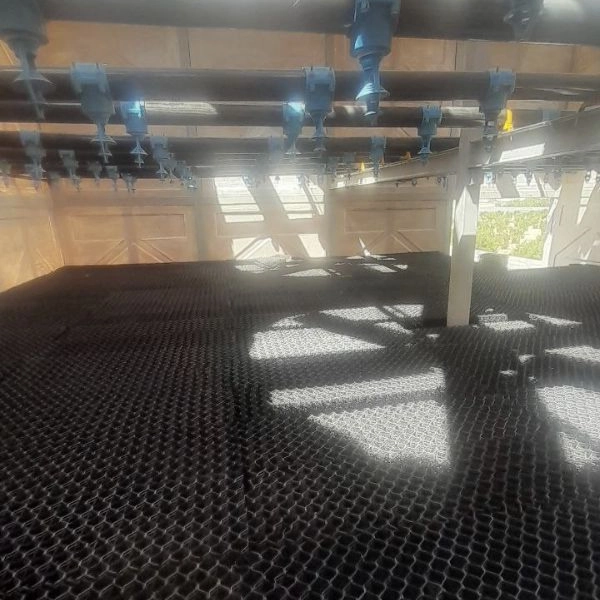 1721473883201.webp