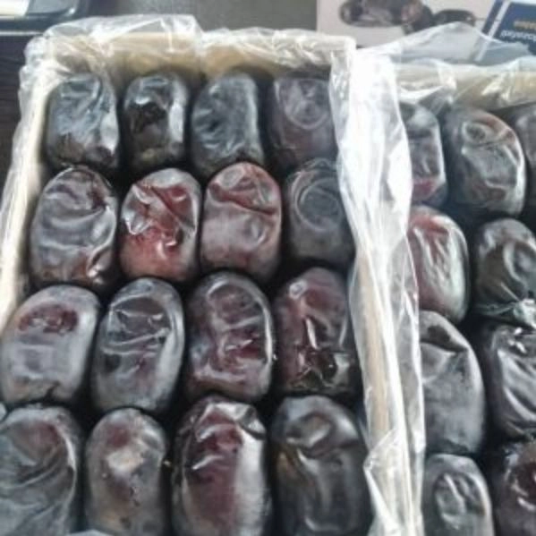 صنایع بسته‌ بندی و صادرات خرما خورشیدی