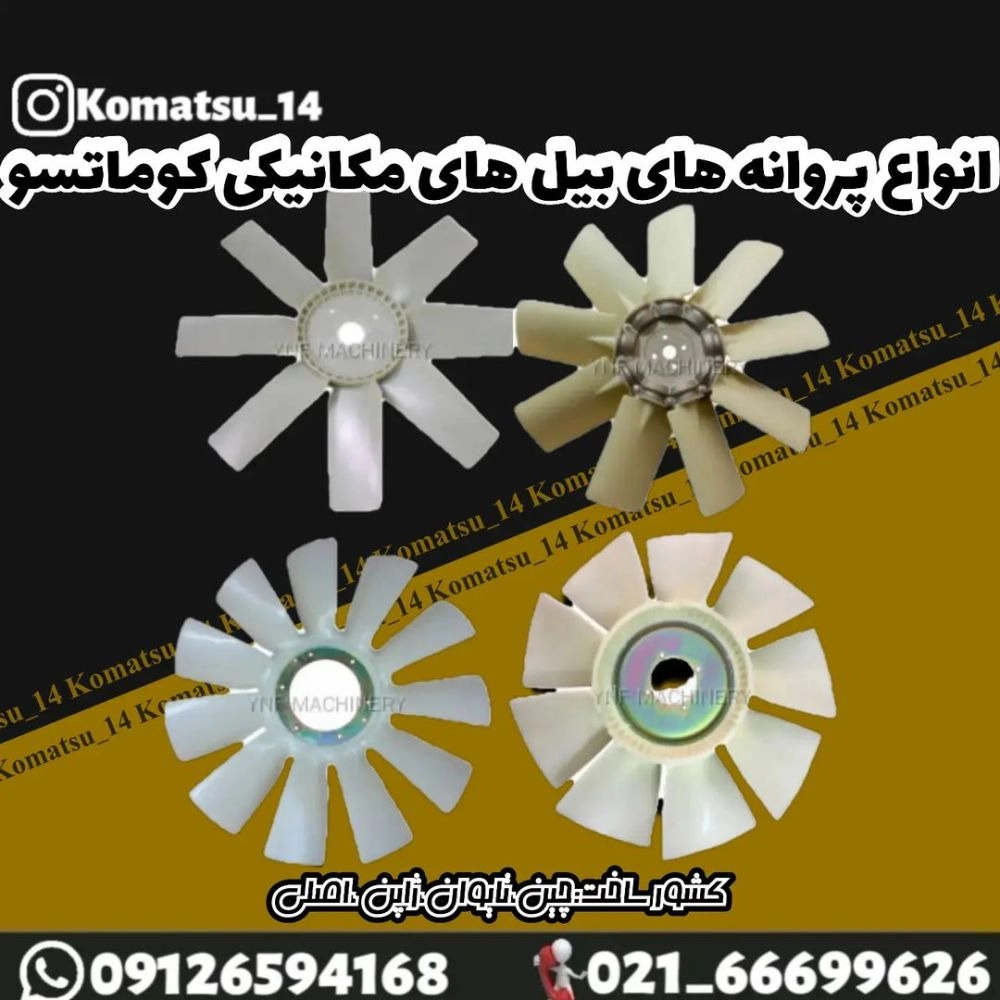 1727264973205.webp