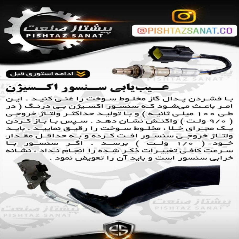1728301502569.webp