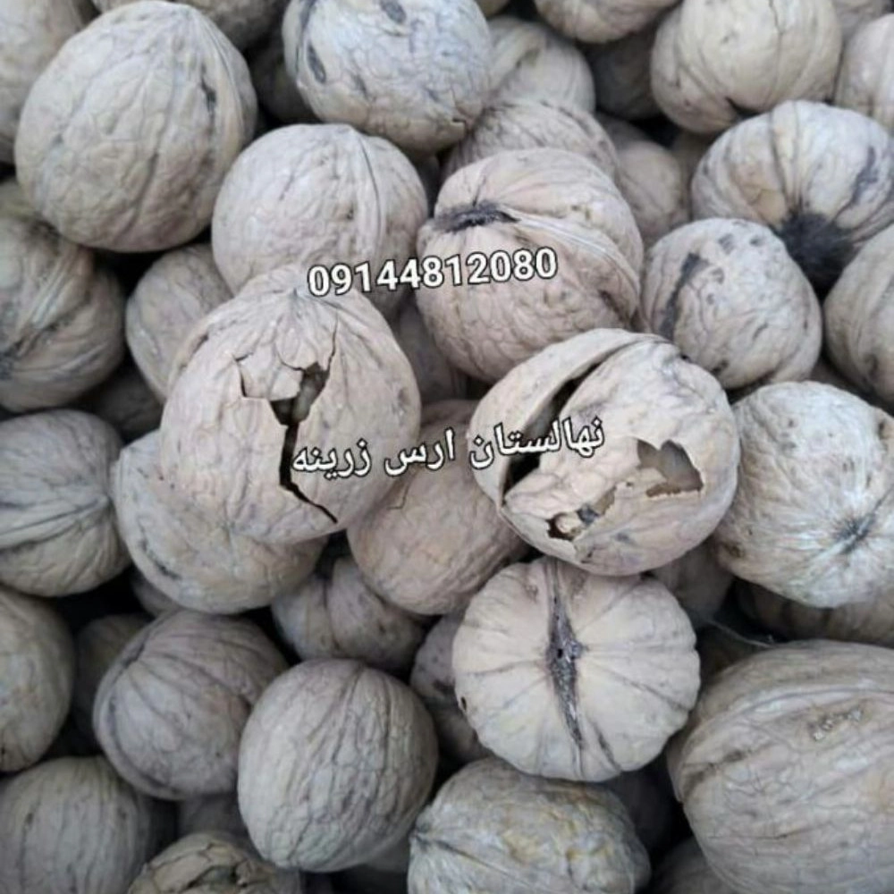 1731220803862.webp