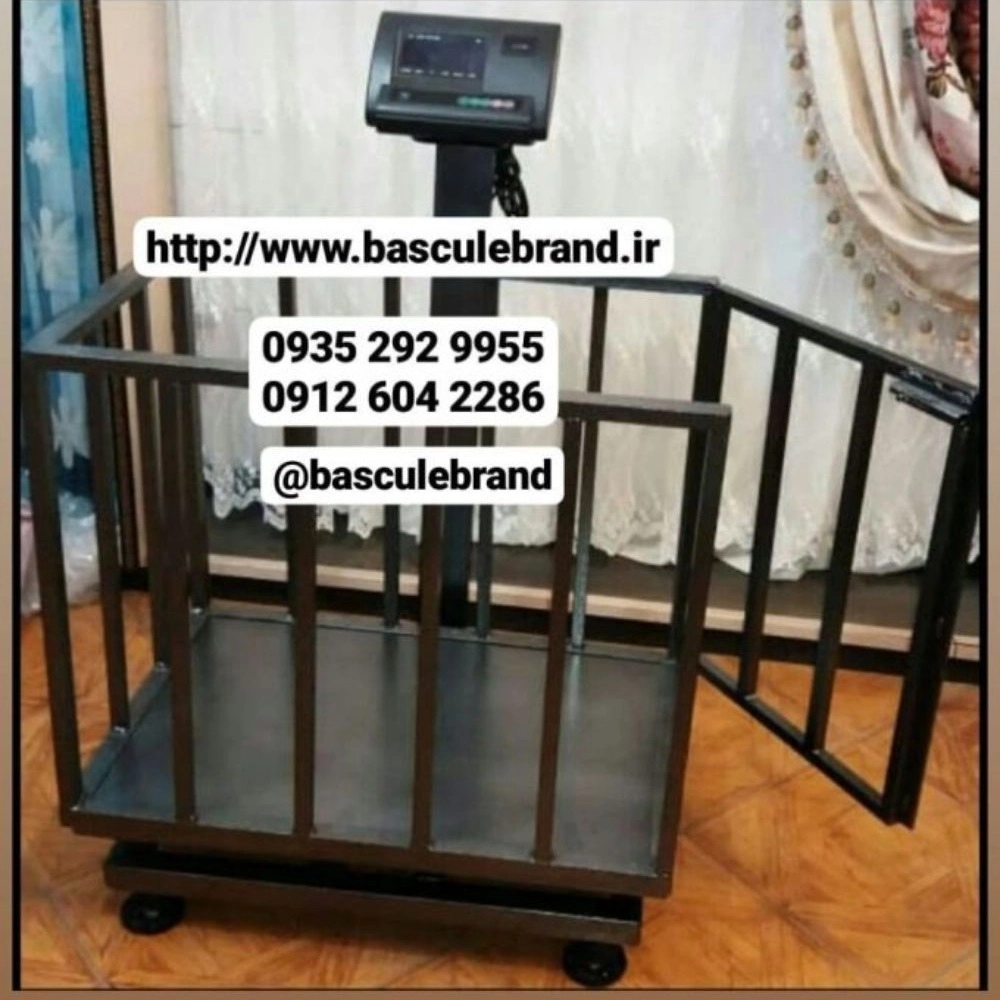 1731573319599.webp