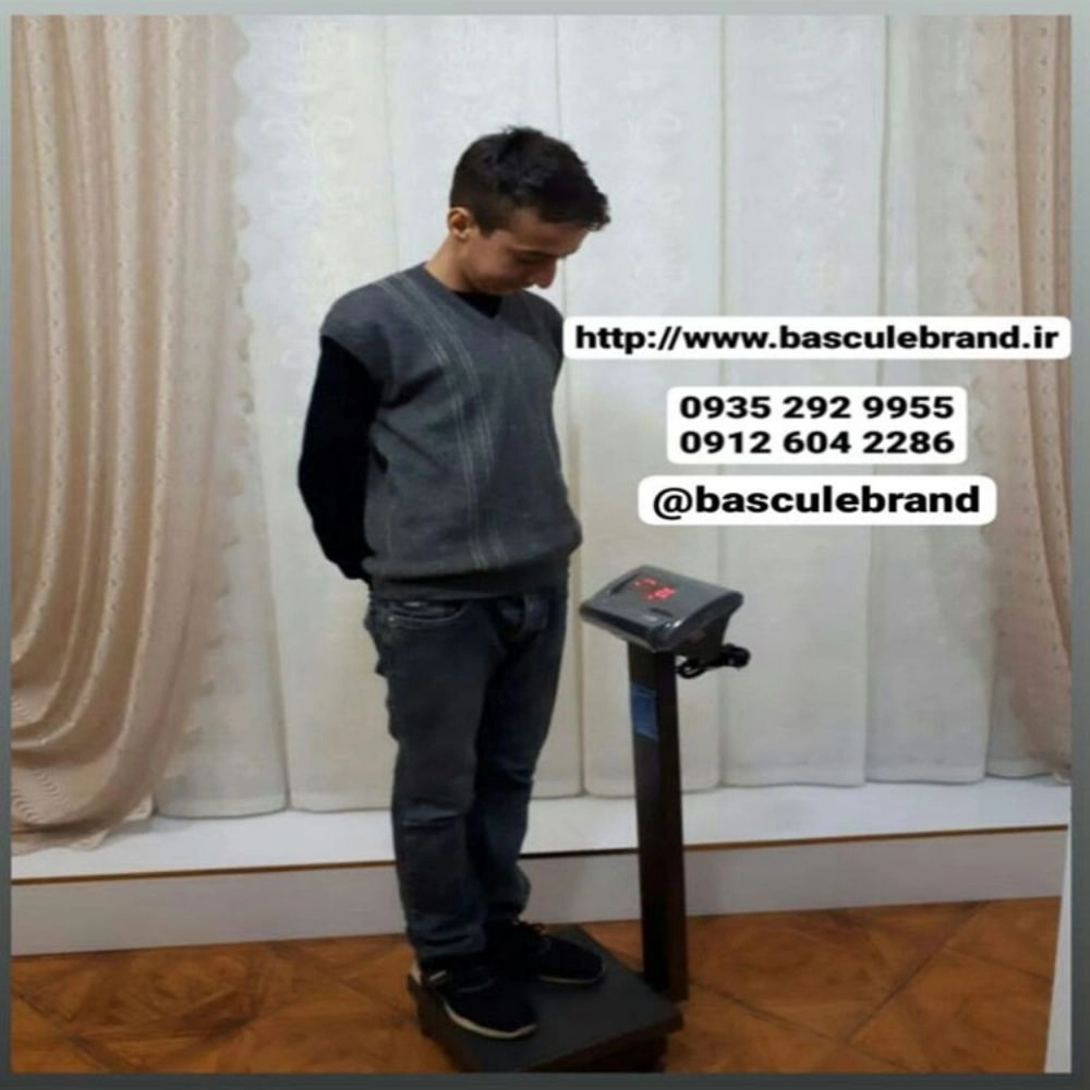 1731573367642.webp