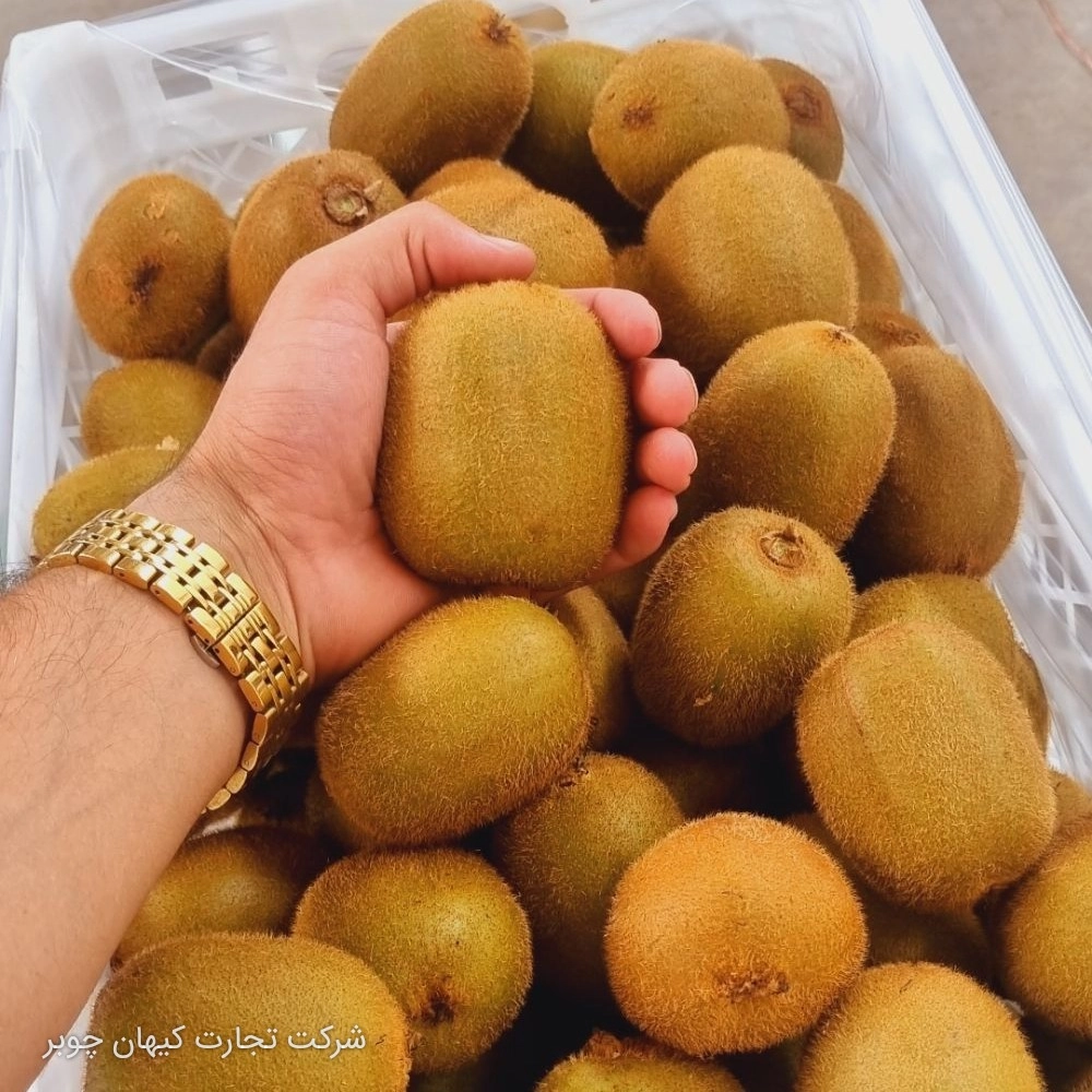 کیوی