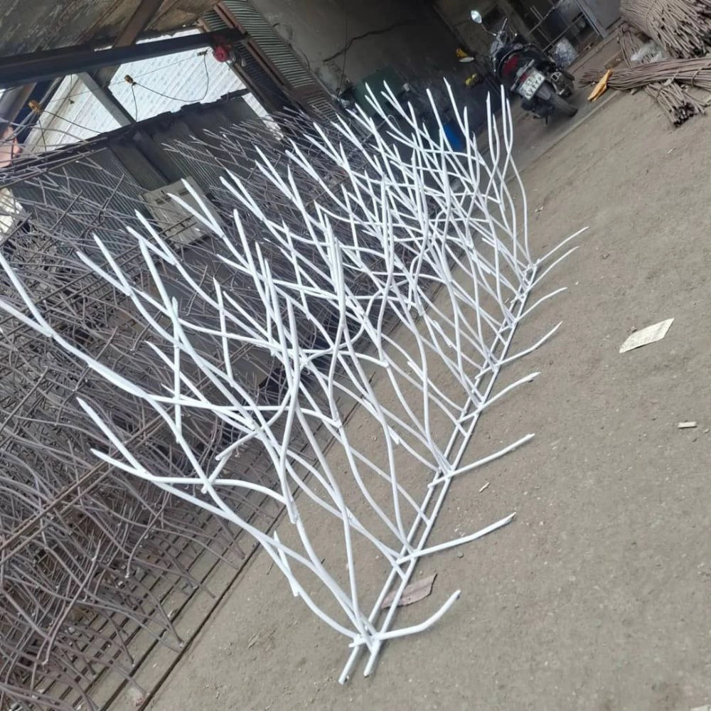 حفاظ رفعتی