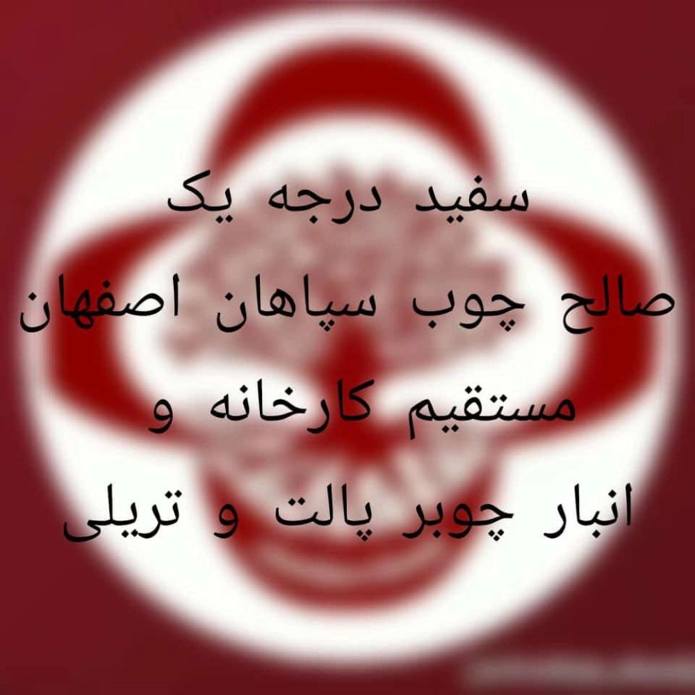 1733559744627.webp