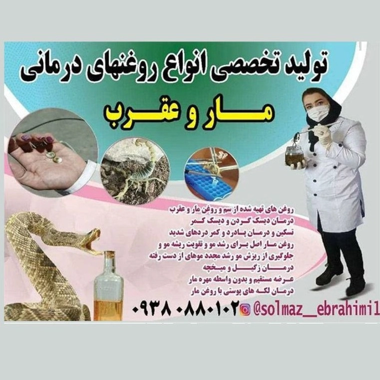 1735807383011.webp