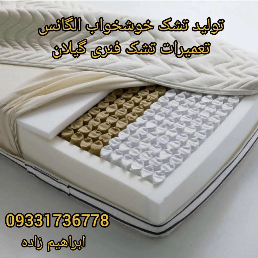 1735967482804.webp