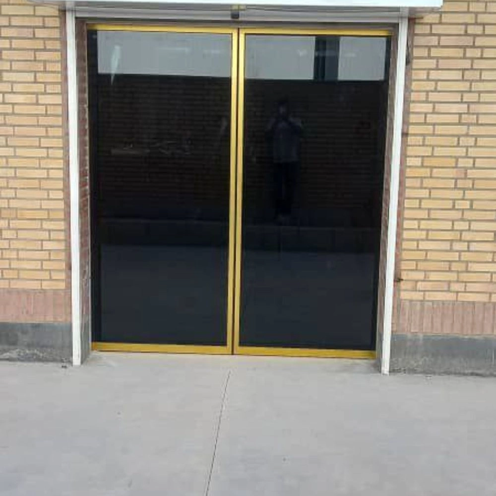 1736062901367.webp