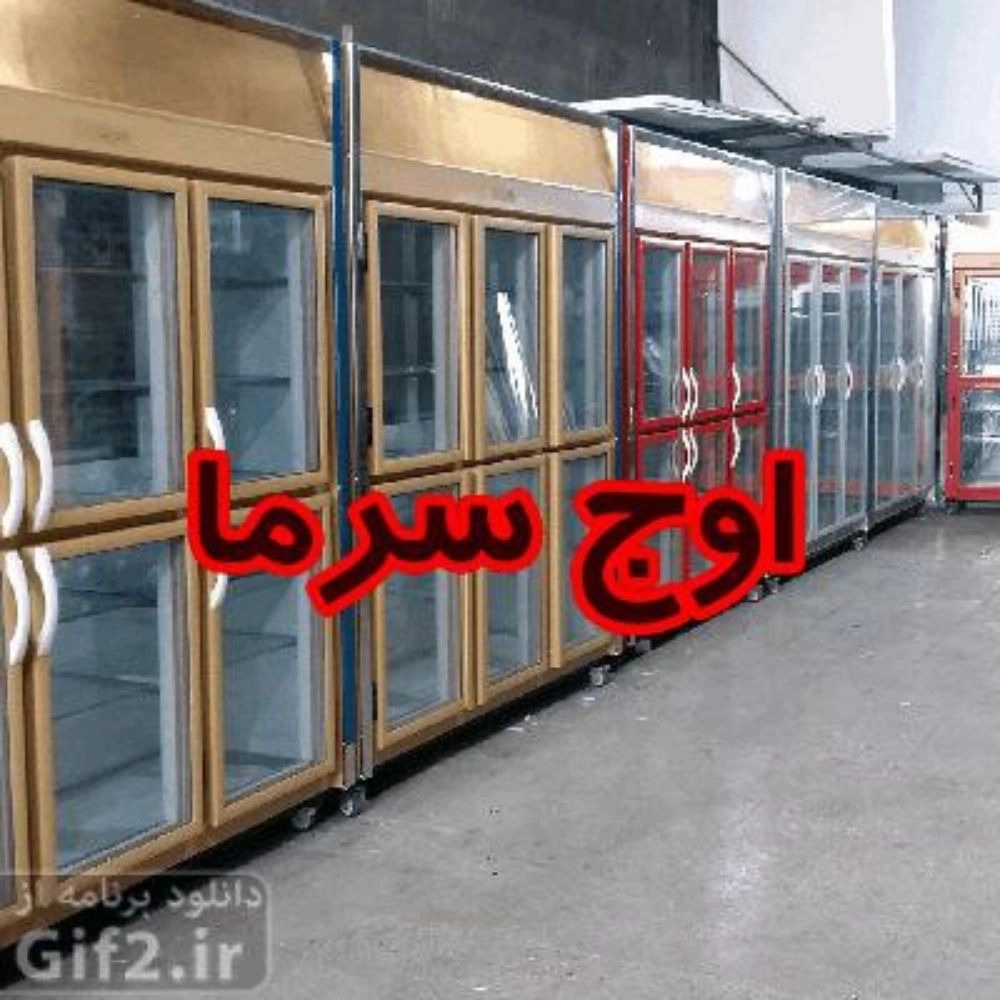 1736313774691.webp