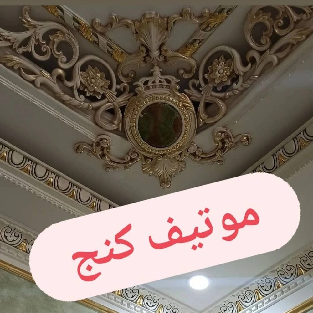 1740224053723.webp