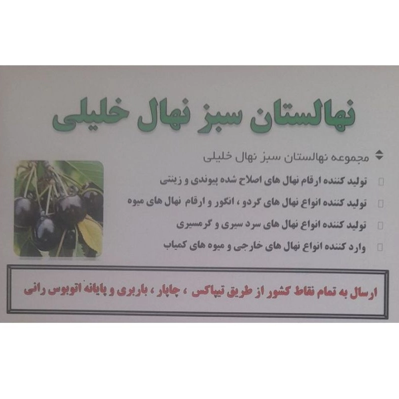 نهالستان سبز نهال خلیلی