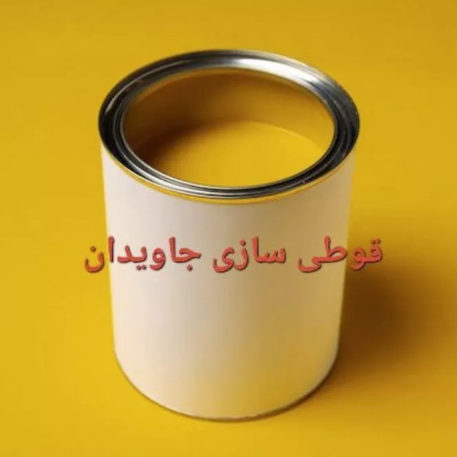 1741151569393.webp