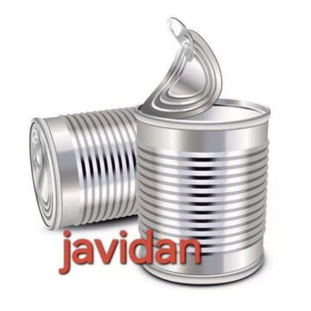 1741151611462.webp