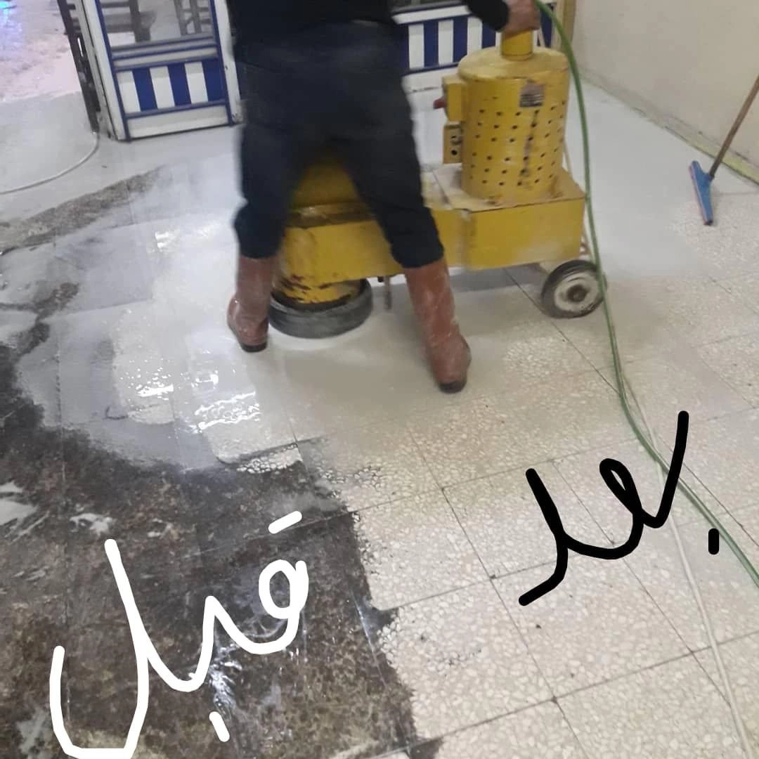 1741593068741.webp
