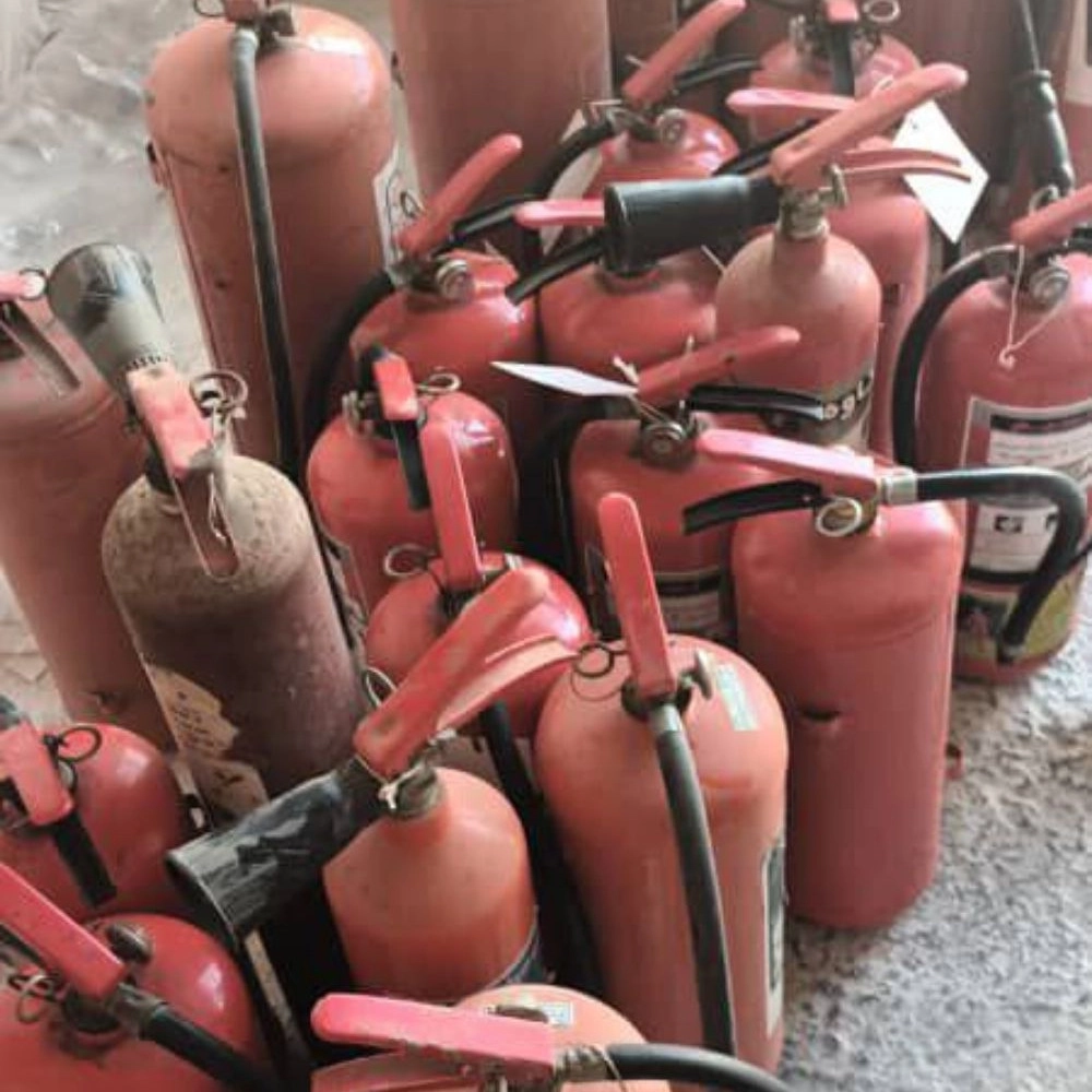 1743926266709.webp