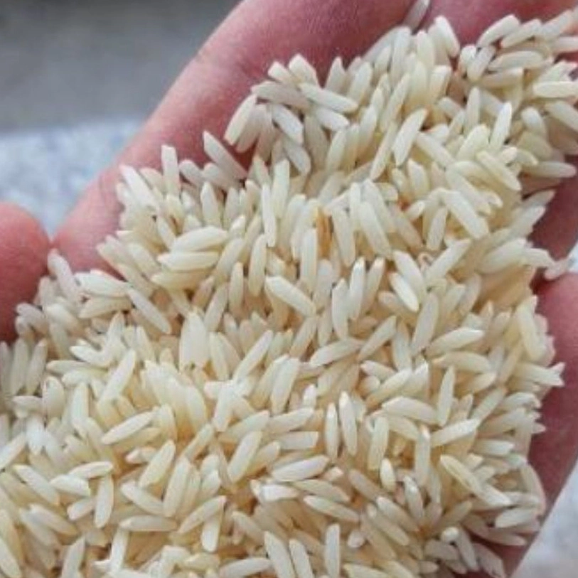 تولید برنج