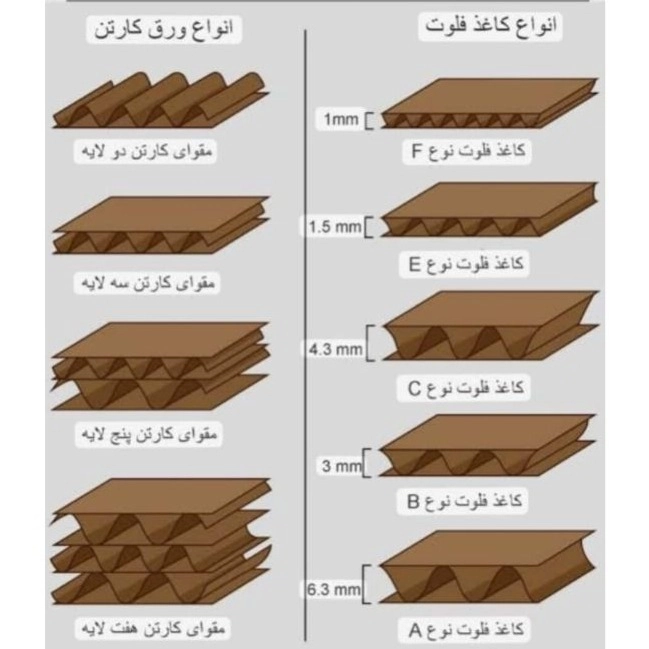 دینا کارتن
