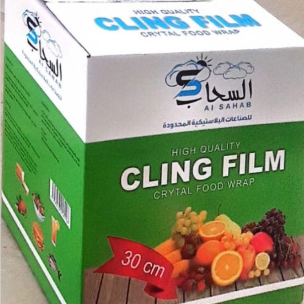 دینا کارتن