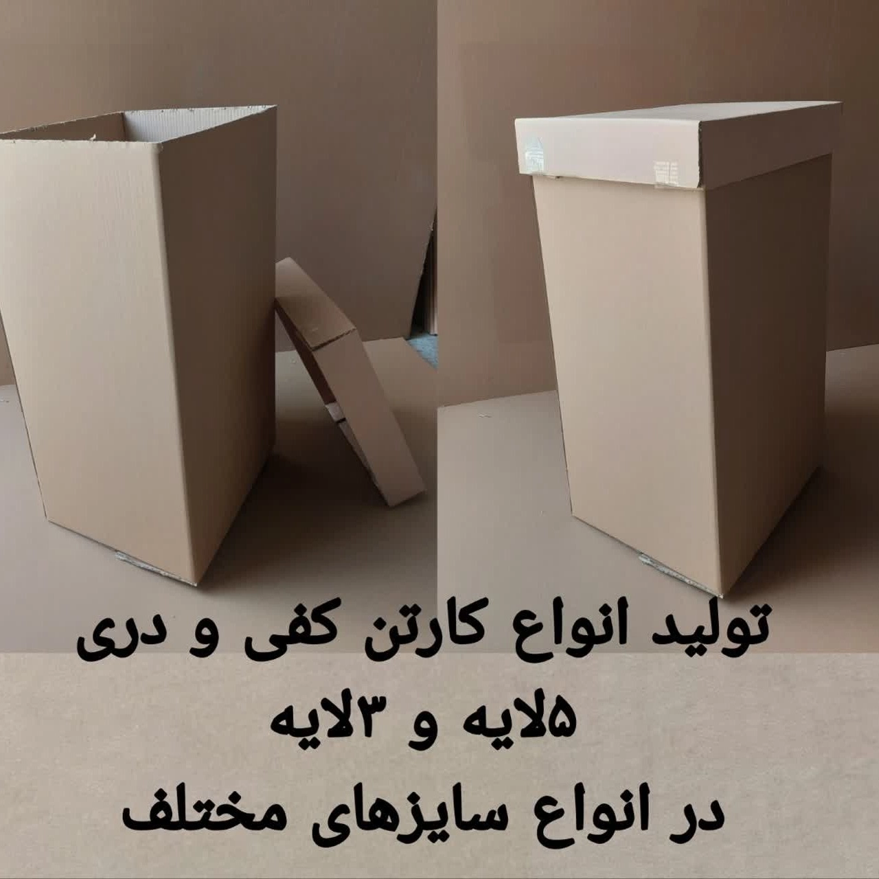 1751178565766.webp